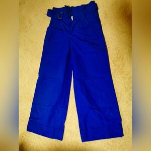 Banana Republic high rise wide pants